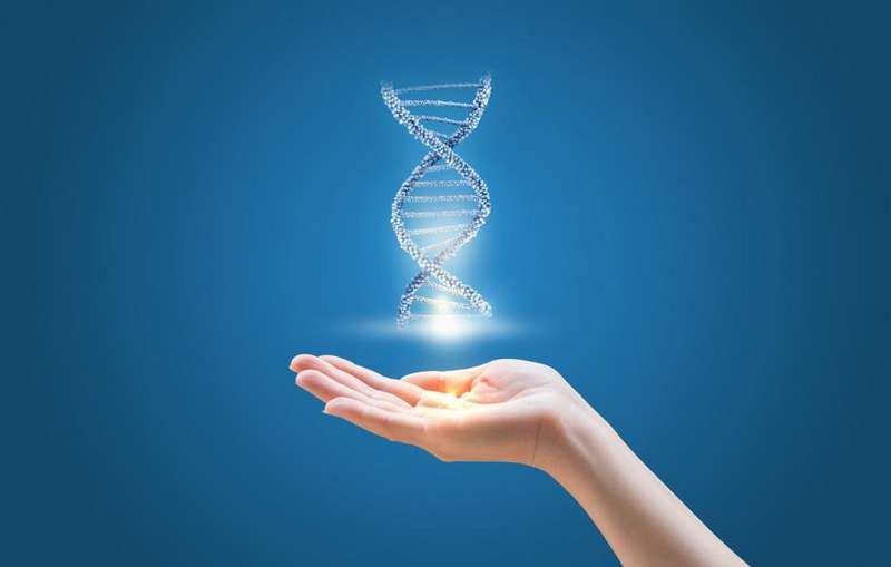 Программы онкодиагностики