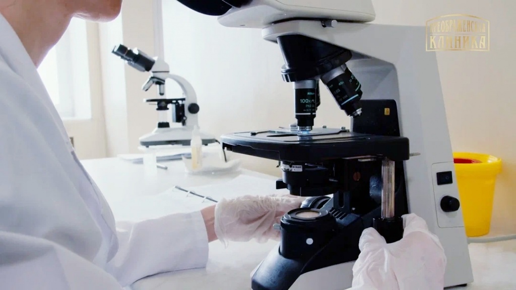 СтеатоСкрин (исследование печени)