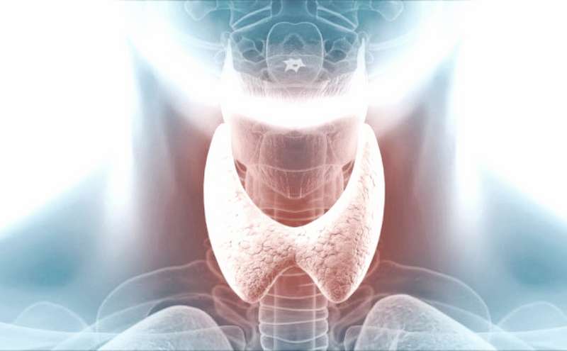 Диагностика и лечение заболеваний щитовидной железы